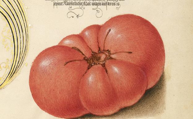 El tomate antiguo y sabroso contra el insípido e híbrido