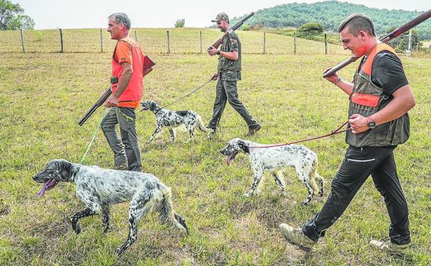 Pocas codornices por la sequía