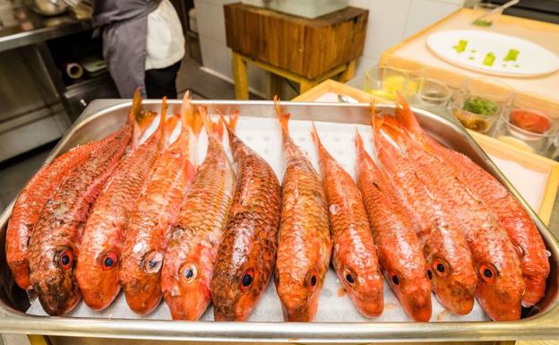 Salmonetes contra el colesterol