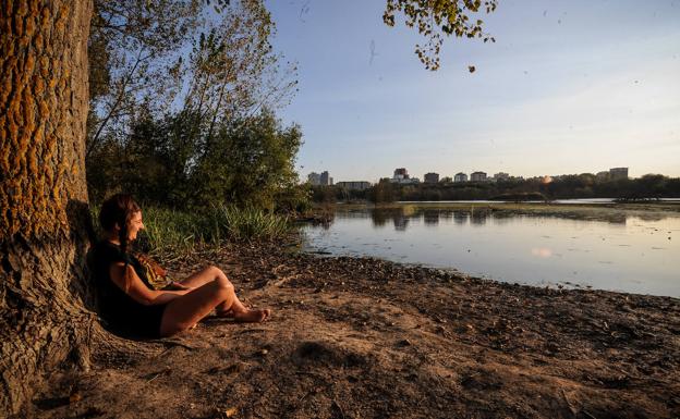 Vitoria celebra sus 10 años green con juegos de luces y un concierto de ZAZ en los Fueros