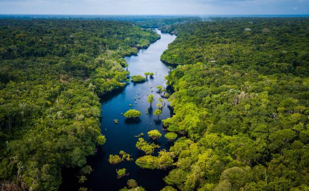 Amazonia 2025 urterako desagertu liteke, ikerketa esanguratsu baten arabera