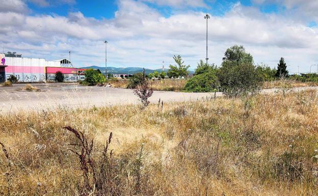 9.300 árboles para recuperar el bosque de Minguibaya junto al Zadorra en Asteguieta