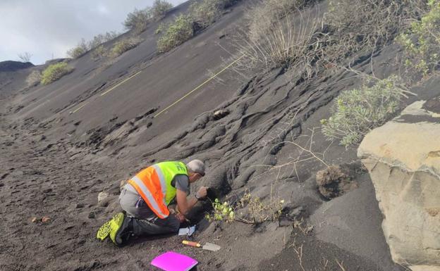 La alta concentración de C02 hace aún el aire irrespirable lejos del Cumbre Vieja