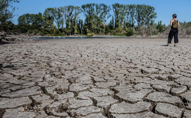 El verano con menos lluvia en 31 años en Vitoria reseca los humedales de Salburua