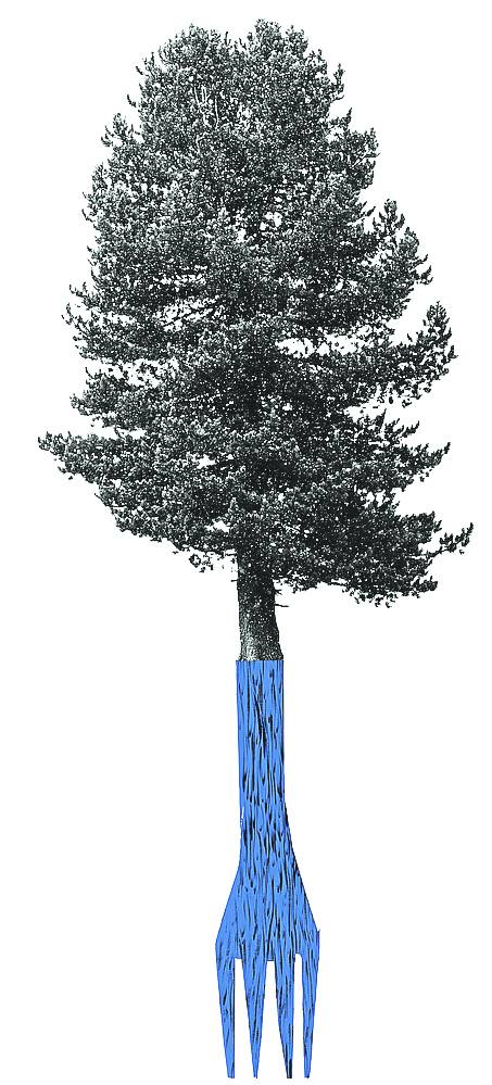 Bras, Andorra y las montañas