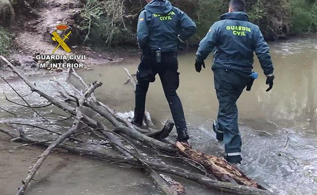 Incautan una plantación de marihuana en una montaña de difícil acceso de Guadalajara