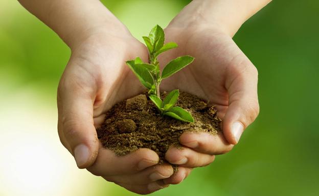 Medidas concretas que no pueden esperar