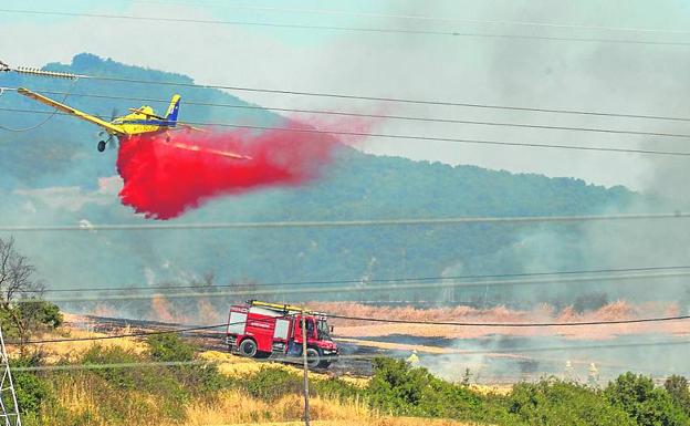 Técnicos forales apuestan por la «regeneración natural» tras el incendio de Zambrana