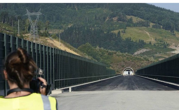 El delegado del Gobierno dice que los Presupuestos demuestran que el Estado se ha convertido en «el mayor aliado de la economía vasca» contra la crisis
