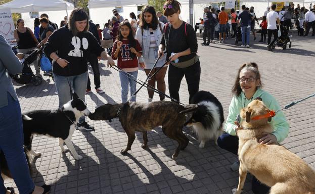 Vitoria hace bueno el día de perros