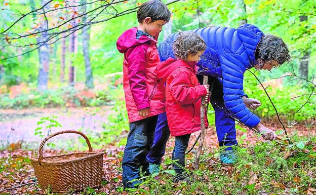 La temporada de setas arranca «muy floja» en Álava y con cotos en medio centenar de pueblos