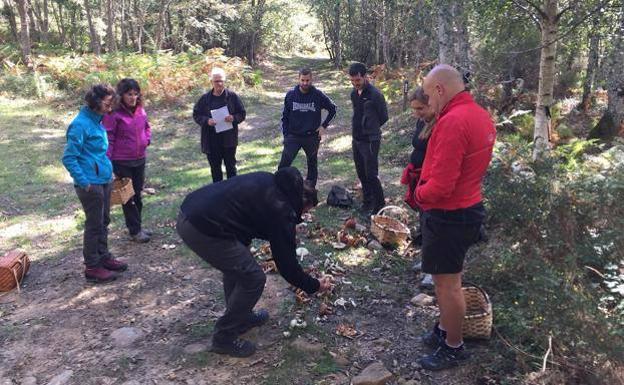 Un buen revuelto depende de la dicotomía