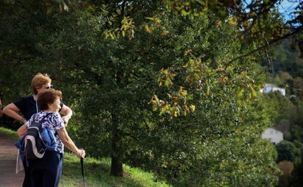 Artxanda, más que un monte