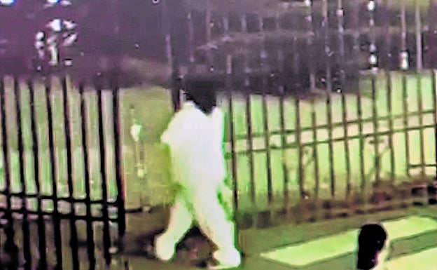 «El deseo no cumplido de ser madre puede derivar en obsesión y autojustificar un rapto»