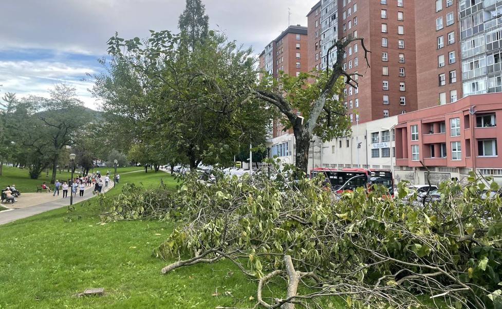 El viento pone en jaque Bizkaia: árboles caídos, desplomes de fachadas y ráfagas de hasta 152 km/hora