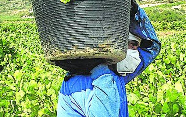 Urkullu ve «legítima» la petición del ABRA y pide respeto al proceso