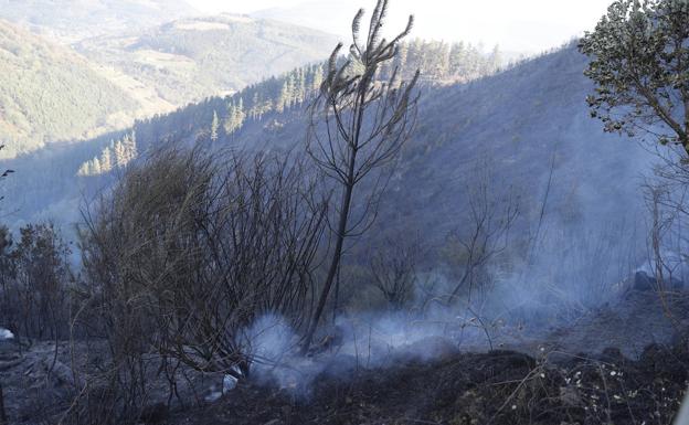 Más de 200 efectivos trabajan para sofocar el incendio en el Valle de Mena