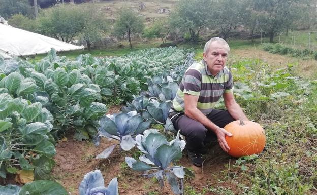El trabajador de una ferretería que volvió al campo para elaborar pan y cultivar hortalizas