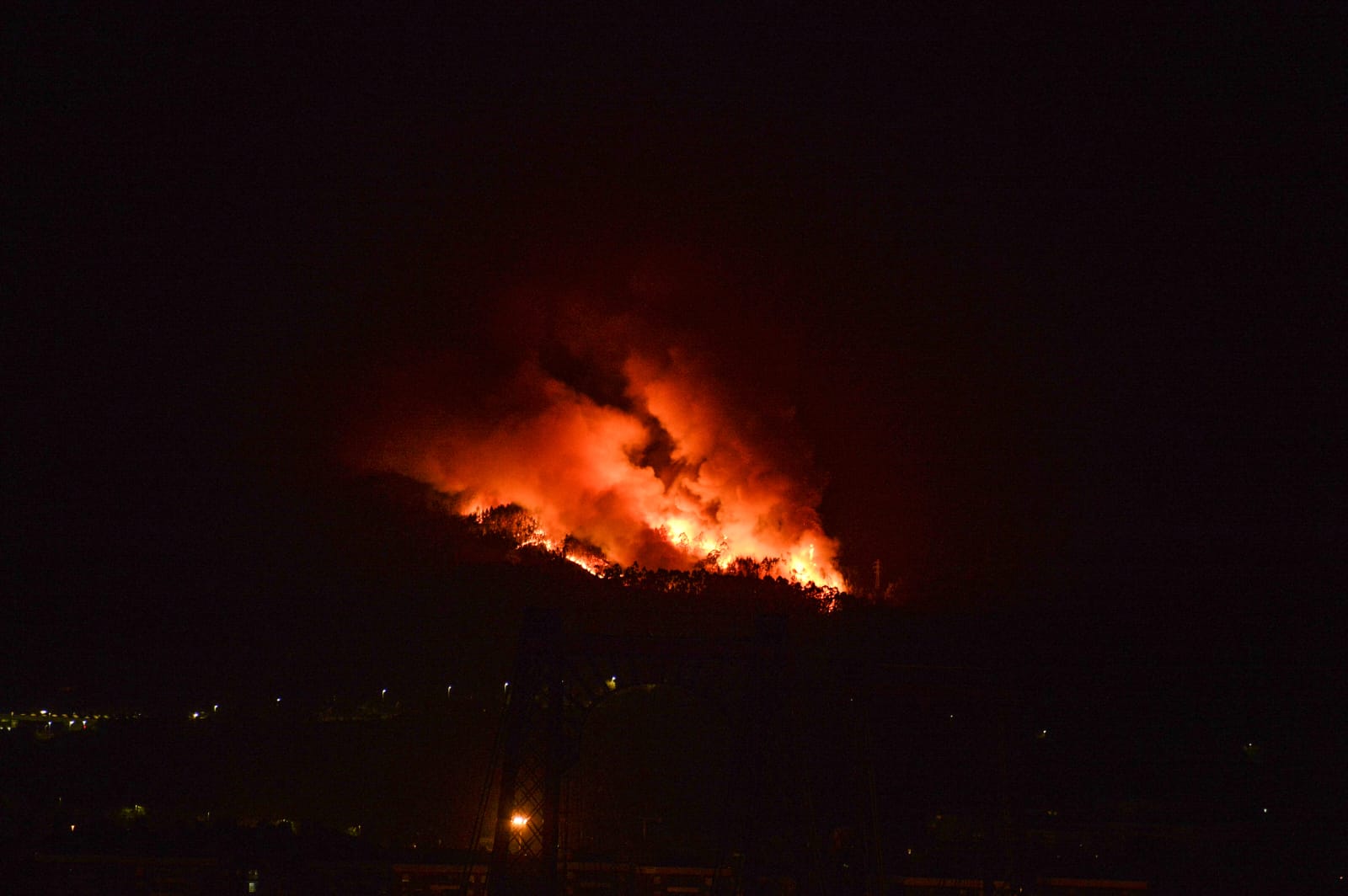 Incendios forestales en La Arboleda y Berango