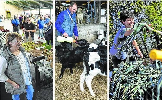 El agro vizcaíno, bajo mínimos