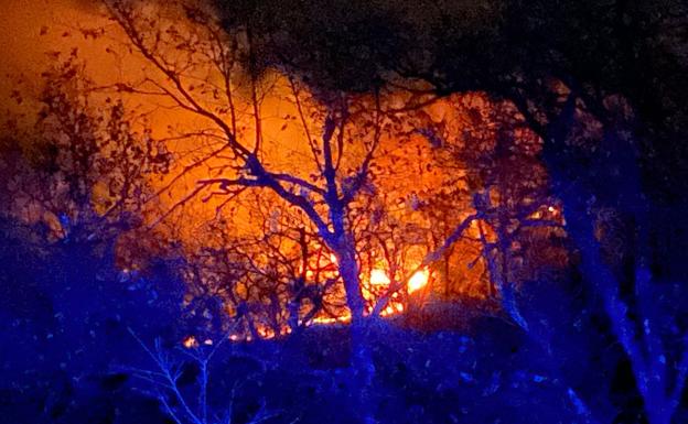 Un incendio en Madaria afecta a las faldas de la Sierra Salvada