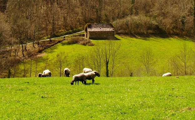 Ipar Euskal Herriko laborantza sektoreak 930 hektarea galdu ditu urte bakarrean