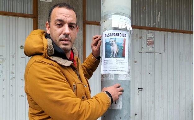 1.000 carteles para encontrar a 'Shira', una perra desaparecida en Zeberio