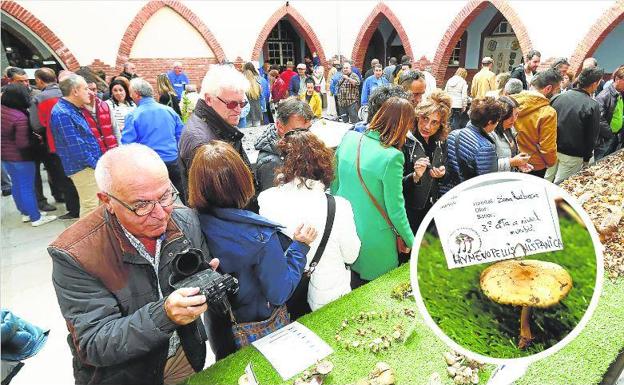 Las excursiones salvaron las jornadas