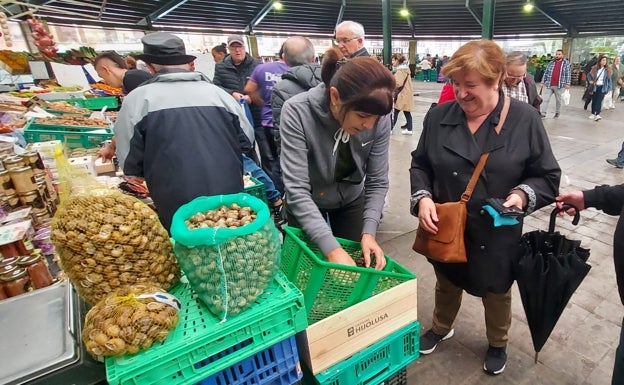 Los caracoles aguantan la carrera de la sequía y la inflación