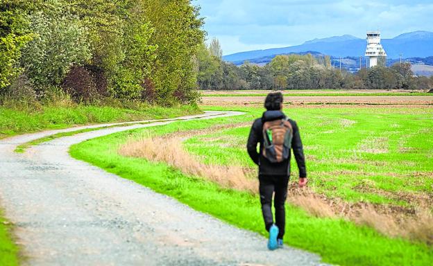 Lakua y Aena negocian cómo repartirse los costes de urbanizar el polígono de Foronda
