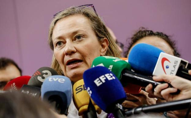 «La ley ha obviado materias que debieron estar reguladas»