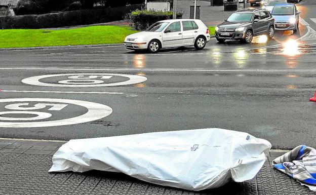 Las muertes por atropello alcanzan este año la cifra más alta desde 2007