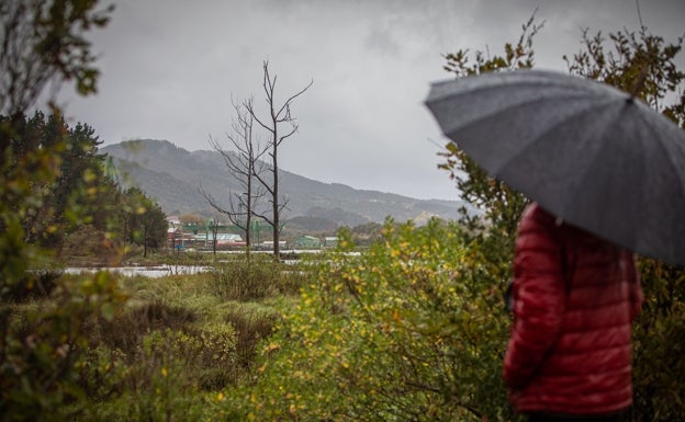 Ecologistas denuncian que se quiere «sacrificar» Urdaibai por los intereses del Guggenheim