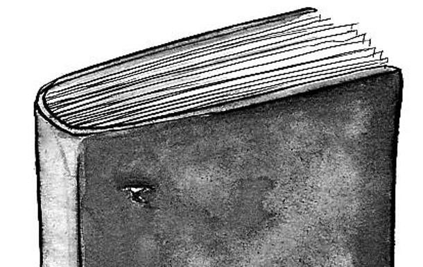 Historiadores y divulgadores