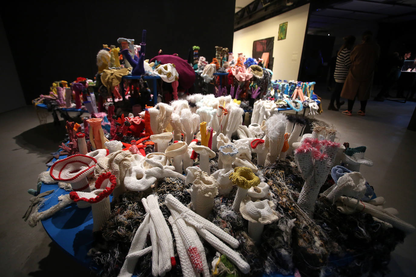 Arte entre colonias de bacterias