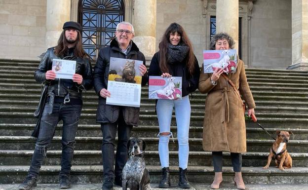 Doce animales abandonados protagonizan el calendario solidario de Apasos 2023