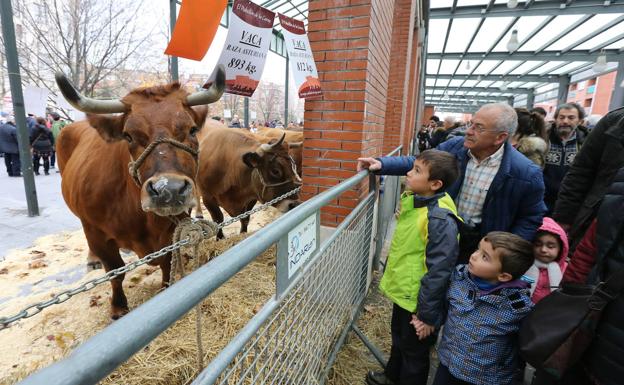 La feria agrícola y ganadera vuelve a Leioa este domingo con exposiciones y concursos