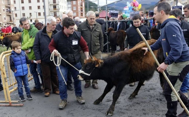 La Feria de Santa Lucía en Orozko recupera este sábado el concurso de raza terreña