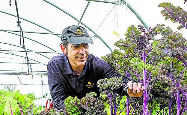 Abetxuko prueba un sistema para sacar más partido a la huerta con menos trabajo