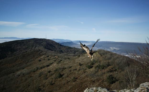 Bildu pide que los Montes de Vitoria sean parque natural para frenar la central eólica de Azáceta