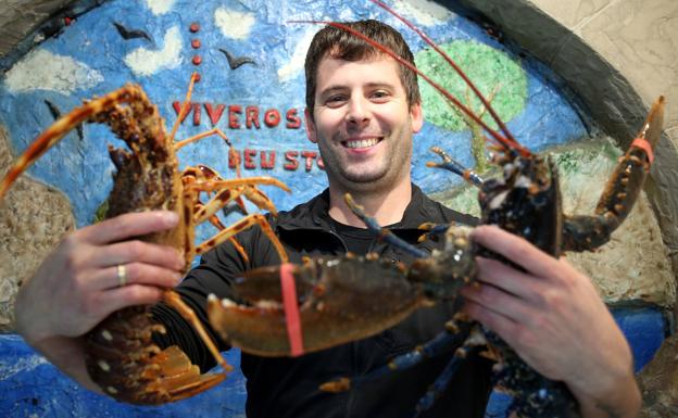 Viveros Deusto, sabores marinos a orillas de la ría