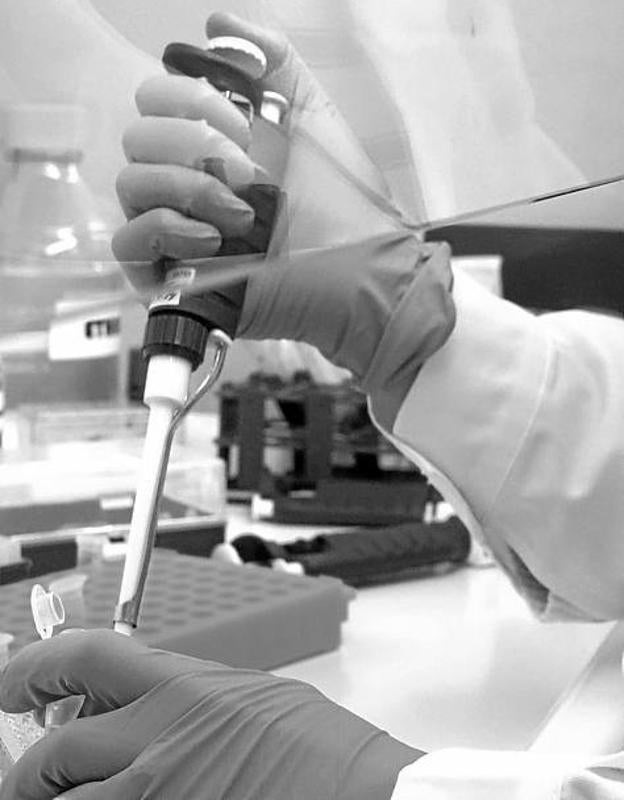 Civilizar nuestro futuro