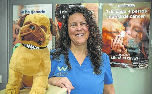 «Cada Nochevieja hay atropellos de perros que escapan por el miedo a los petardos»