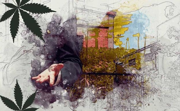 Mañana, en EL CORREO, especial sobre la marihuana en Euskadi