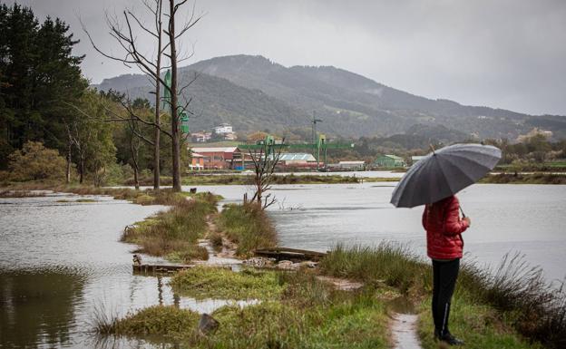 La oposición y el Gobierno foral se enzarzan por el impacto ambiental del Guggenheim Urdaibai