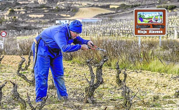 El Gobierno central no garantiza que el veto de Rioja a Viñedos de Álava llegue este año