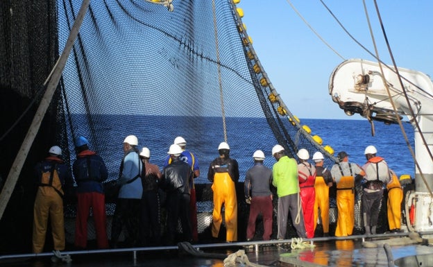 Bermeo llevará a Bilbao su compromiso en la defensa de la pesca del atún