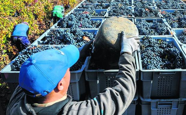 Lakua recurre el veto de Rioja a Viñedos de Álava