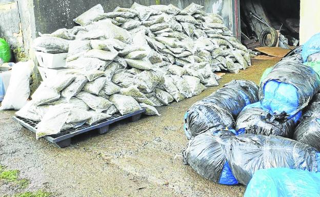 En libertad el detenido en el hallazgo de 3 toneladas de 'maría' en un caserío de Orduña