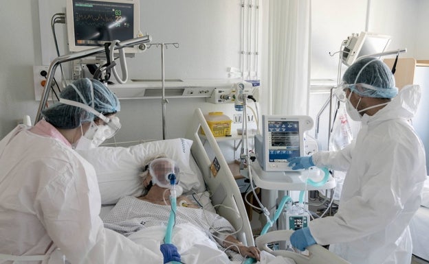 La pandemia continúa bajo mínimos en Euskadi con 4 muertes y 254 casos la última semana